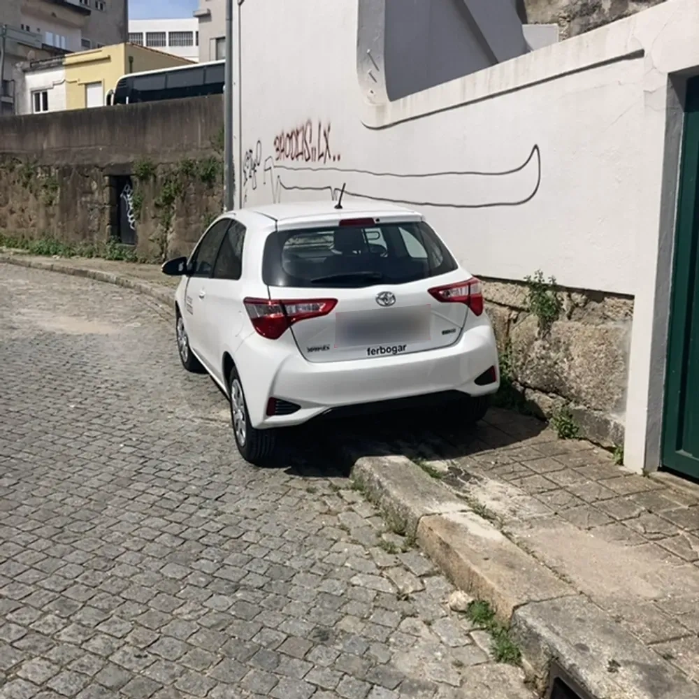 29ZL84