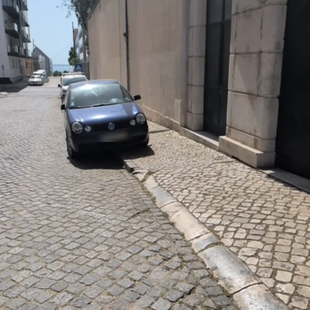 4828ZV