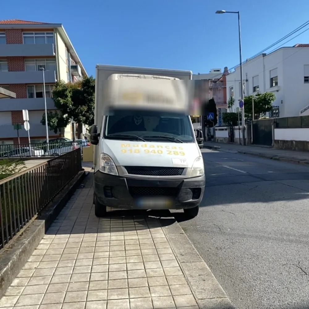 29LM19
